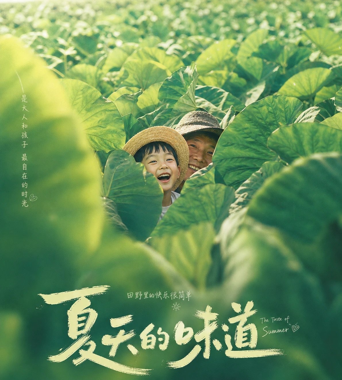 菊次郎的夏天:日系轻喜剧电影海报
