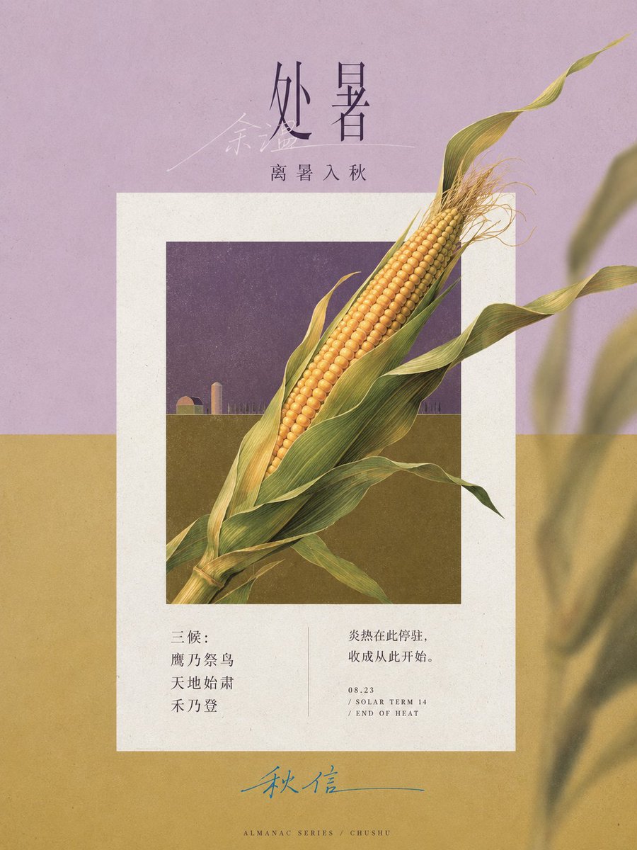 二十四节气：拍立得框中的东方时间美学 - 图 2