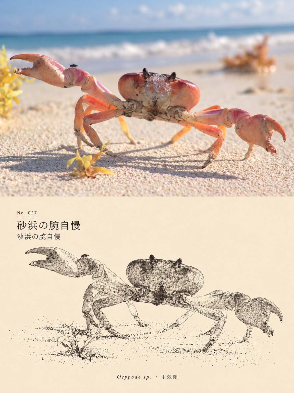 棱纹玻璃折射出的转绘美学光影 - 图 2